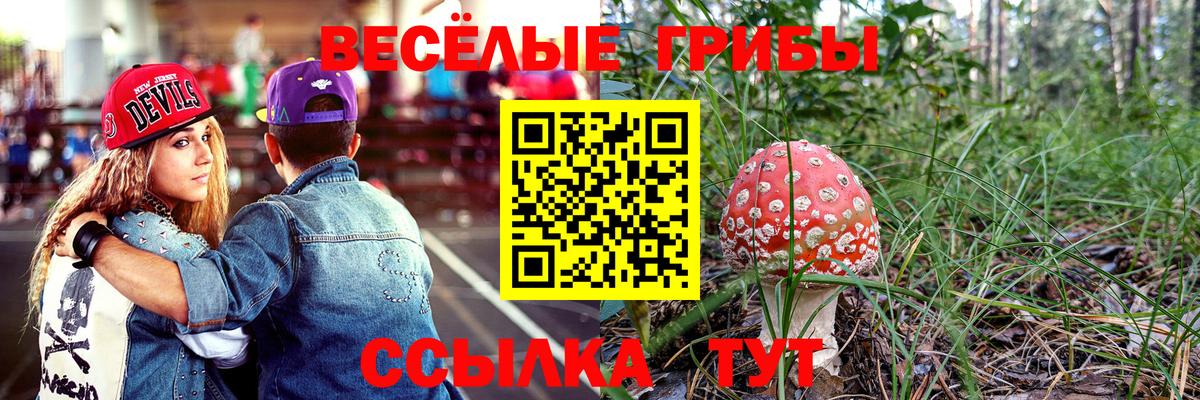 Галлюциногенные грибы Psilocybe  Вход с VPN  Псилоцибиновые грибы Psilocybine cubensis  Ступино 